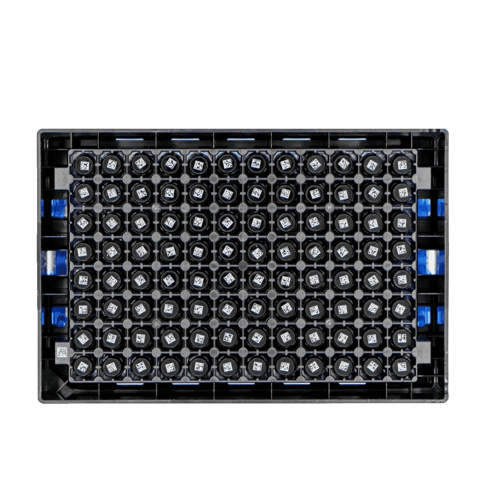 Unterseite des LVL SAFE® SX 260 Microliter / 0,26 ml 96 XT Racks mit sichtbarer 2D-Codierung der 2D-Tubes